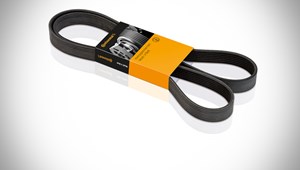 Courroie De Distribution Continental Contitech CT881 : Courroie Crantée Haute Qualité