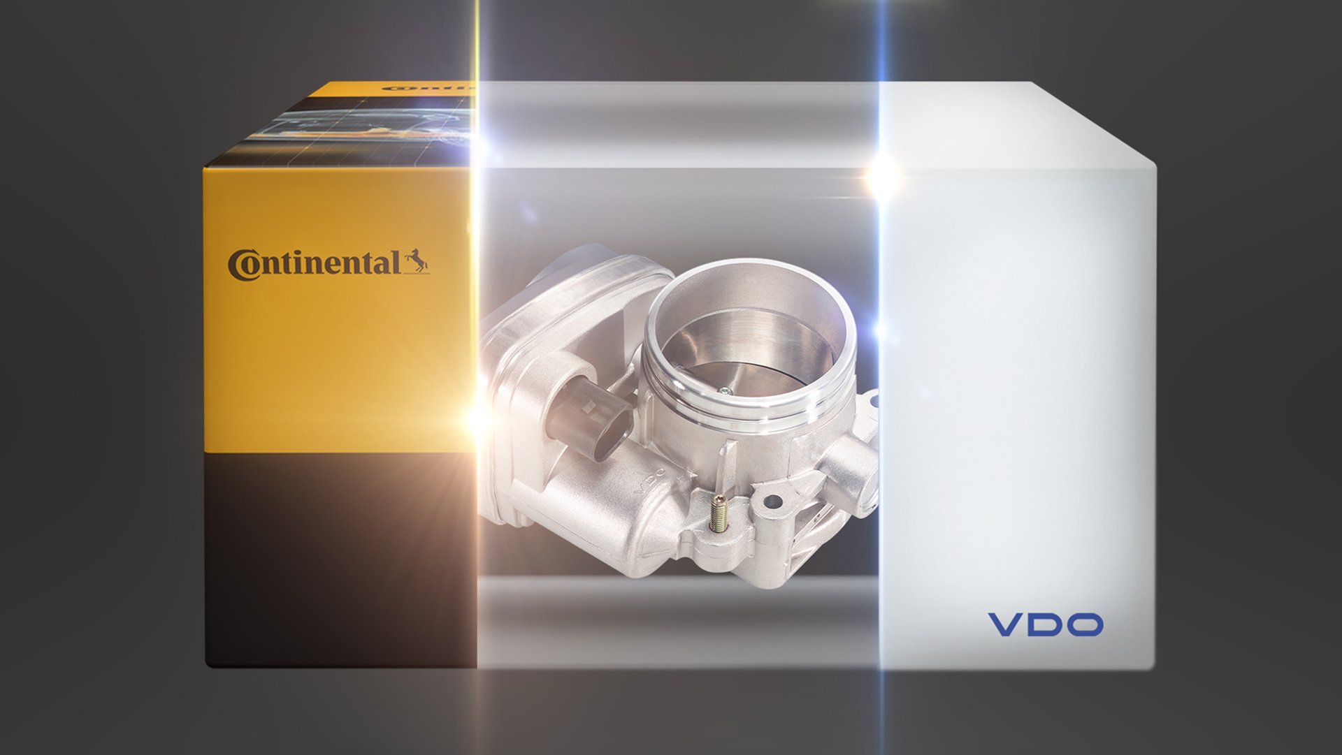 Vdowirdcontinetnal A5 Quer De 1