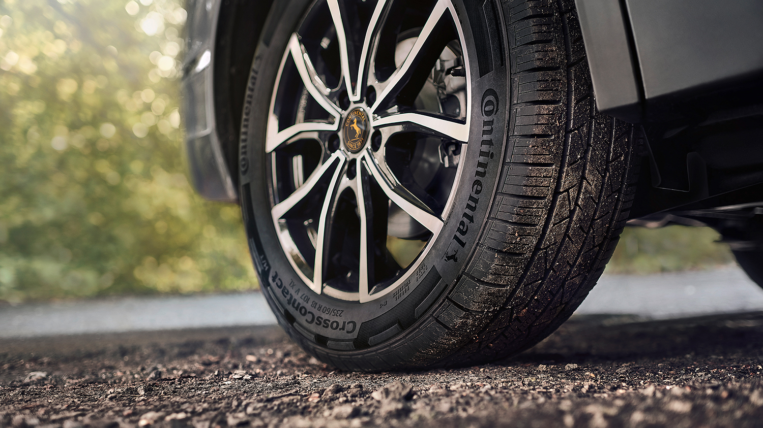 Reifen und Felge an einem Auto auf braunem, unbefestigtem Untergrund